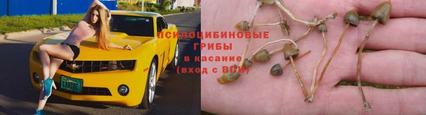 не бодяженный Балахна