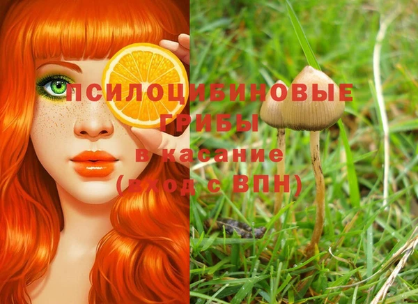 бутират Балабаново