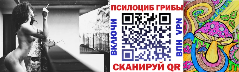 где найти   Николаевск  Галлюциногенные грибы GOLDEN TEACHER 